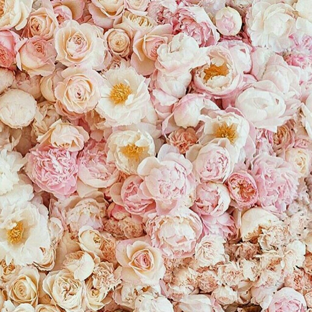 Meet your Posher, Kimberlee